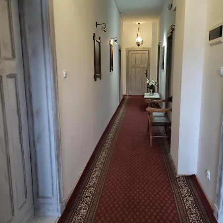 Oda ve Kahvaltı Palacyk Srebrna Fala 3*