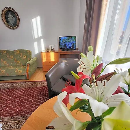 Palacyk Srebrna Fala B&B 3*